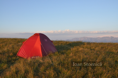 cort piatra mare cort piatra mare