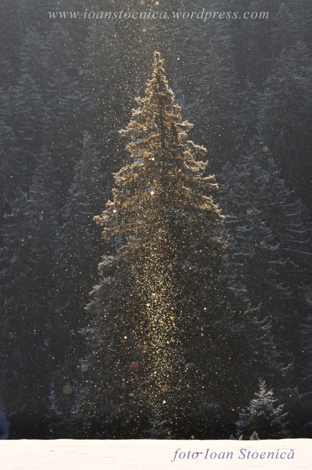 Craciunul din martie