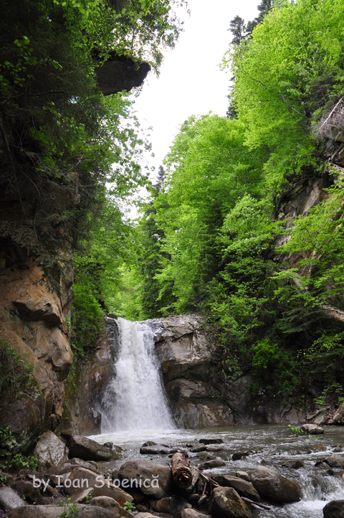cascada casoca, valea casoca, muntii buzaului
