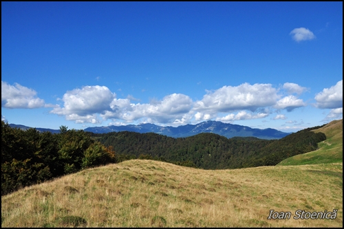 ciucasul vazut de pe creasta clabucetului