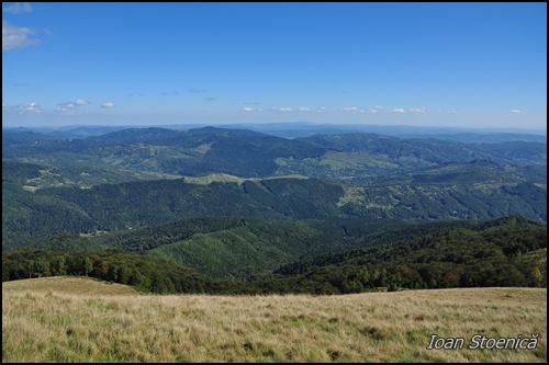 drum forestier vale spre Slon