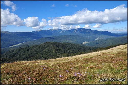 Ciucasul vazut de pe Clabucet