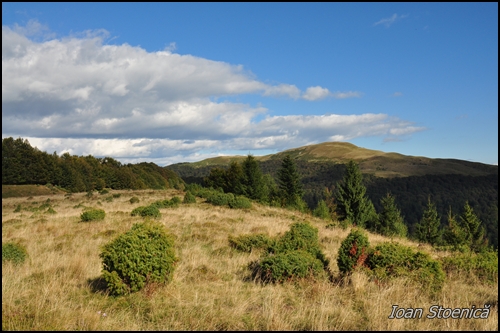 Varful Clabucetul Maneciului, vazut de pe o culme apropiata