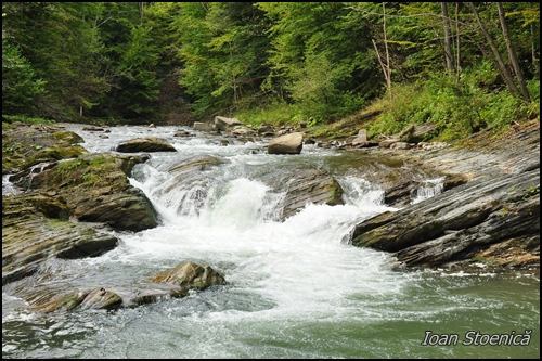 raul teleajan in zona La Oratii