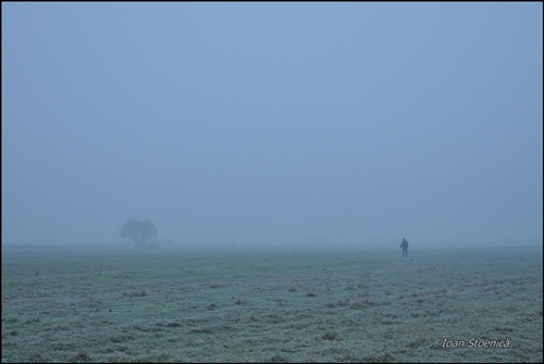 silueta in ceata de pe camp