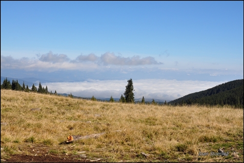 nori pe vale, poiana sub varf in harghita