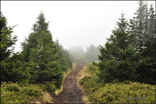 drumul care coboara de la varful madaras