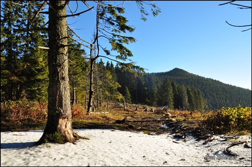 zapada prin muntii harghitei