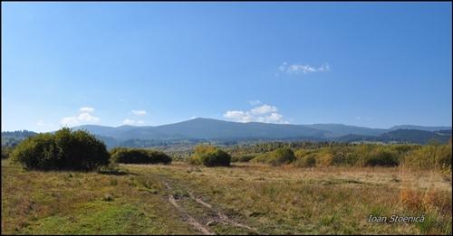 muntii harghitei vazuti de pe camp, dinspre miercurea ciuc.