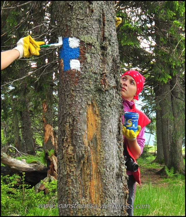 cruce albastra - remarcare trasee turistice in muntii vrancei