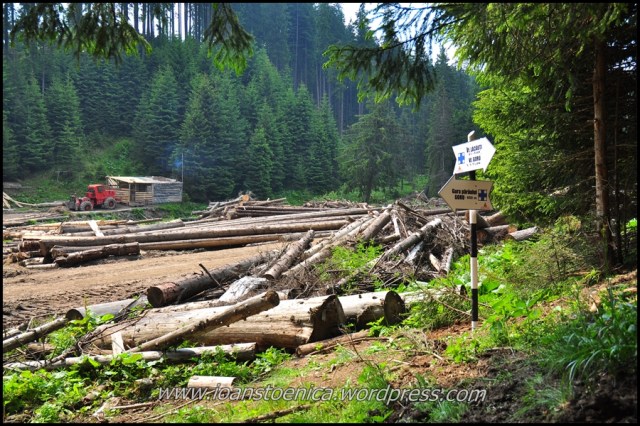 stalp indicator pe valea Paraul Gorului