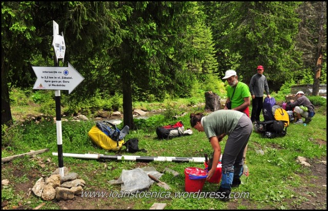 stalp nou cu indicatoare - muntii vrancei, valea zabalutei