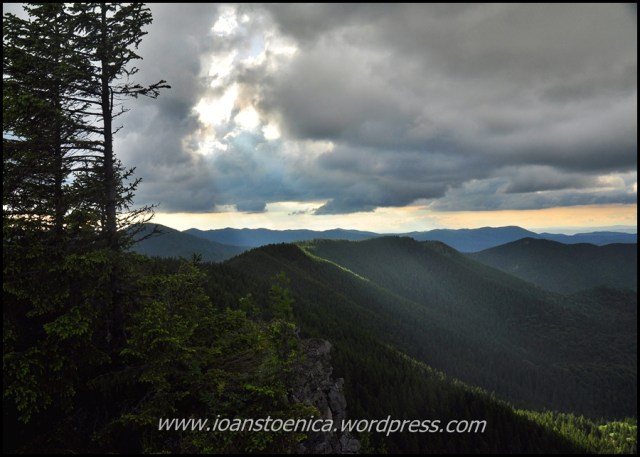 pe dealul negru, muntii vrancei