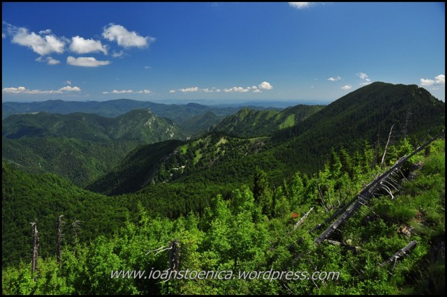 valea tisitei - de pe muntele coza