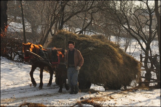 caruta la marginea satului