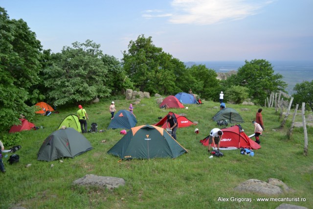 corturi multe pe tutuiatu