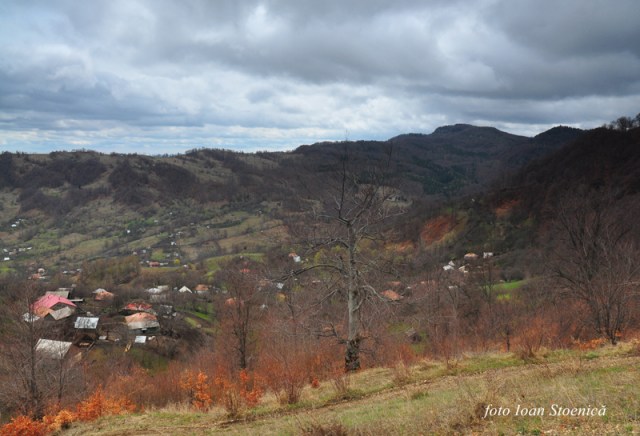 spre varful Ivanetu, muntii Buzaului