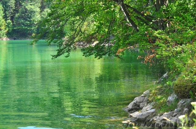 lacul ighiel - apa verde