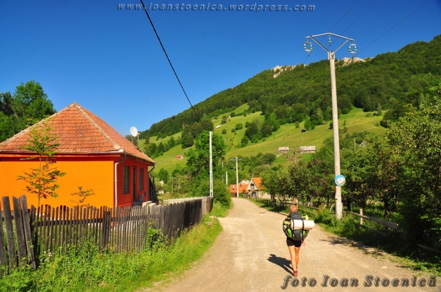 Drumul satului in Necrilesti