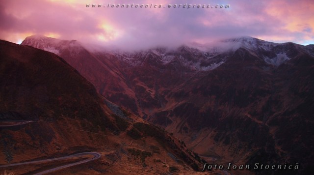 creasta museteica - fagaras