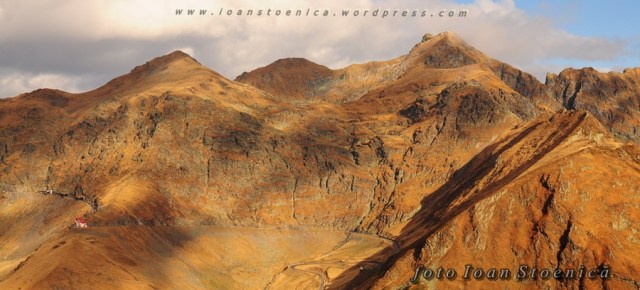 vanatoarea lui buteanu