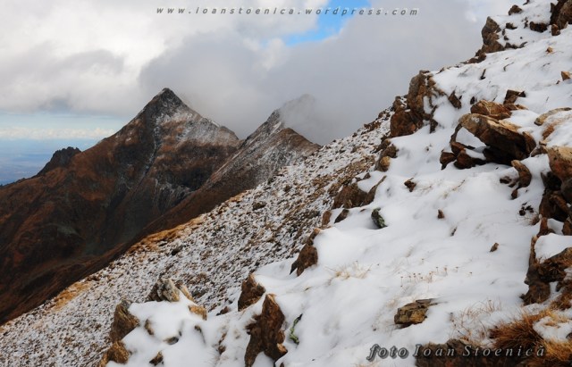 zapada pe pietre - arpasul mic pe fundal