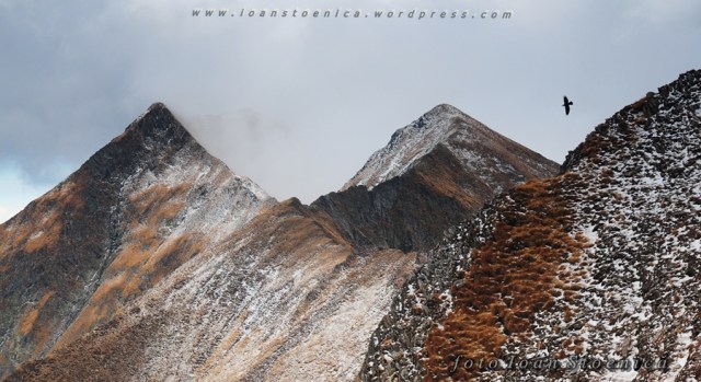 arpasul mic si varful buda