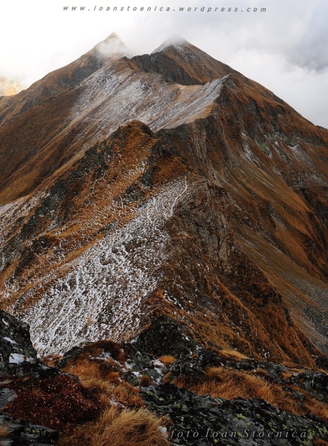 creasta spre varful Buda