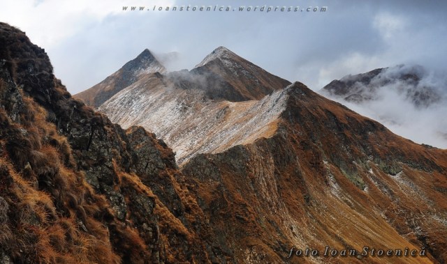 creasta spre vf Buda - Fagaras - imagini spectaculoase cu creste