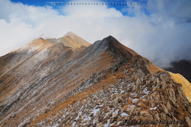 creasta in fagaras - imagini
