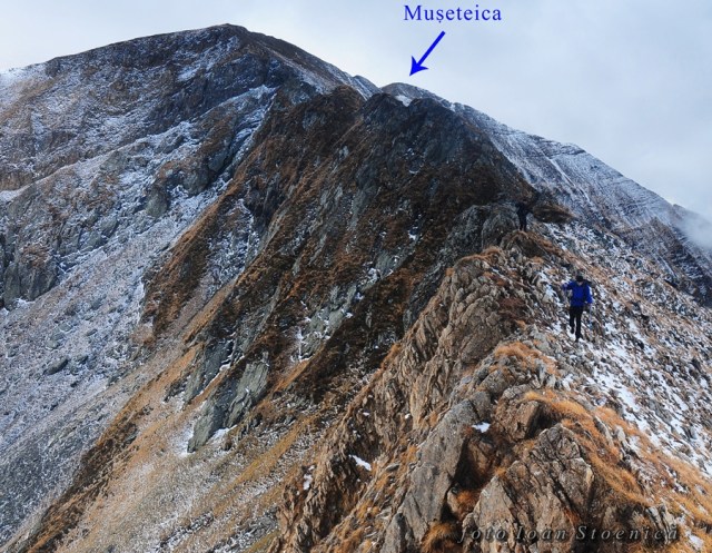 spre varrful museteica