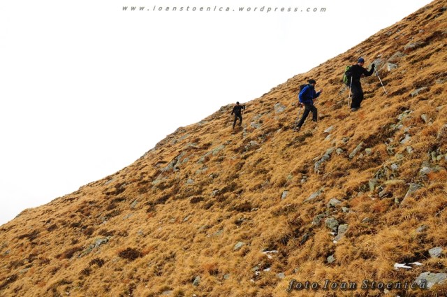 coborare abrupta pe iarba