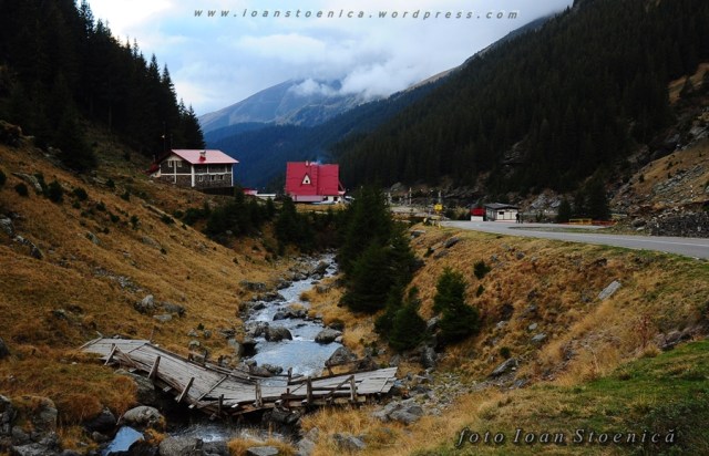 cabana capra, fagaras