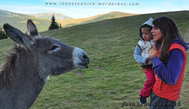 magar si copil - o discutie interesanta