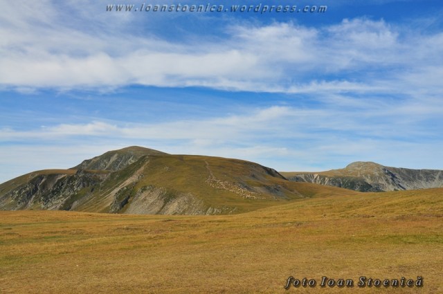 peisaj in parang - de pe transalpina