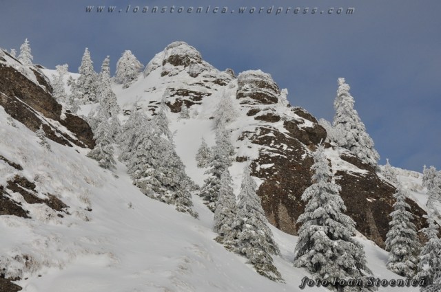 stanci albe in ciucas