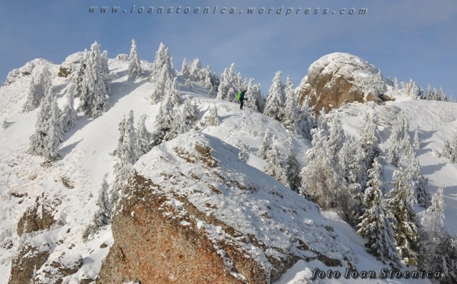 stanci albe in creasta zaganu