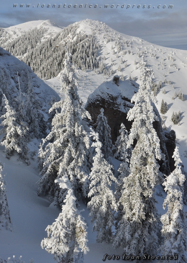 turnul de arama iarna - ciucas