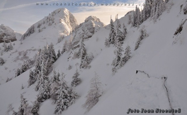 cabluri pe creata zaganu, iarna