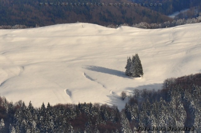 cimitirul eroilor de la tabla butii