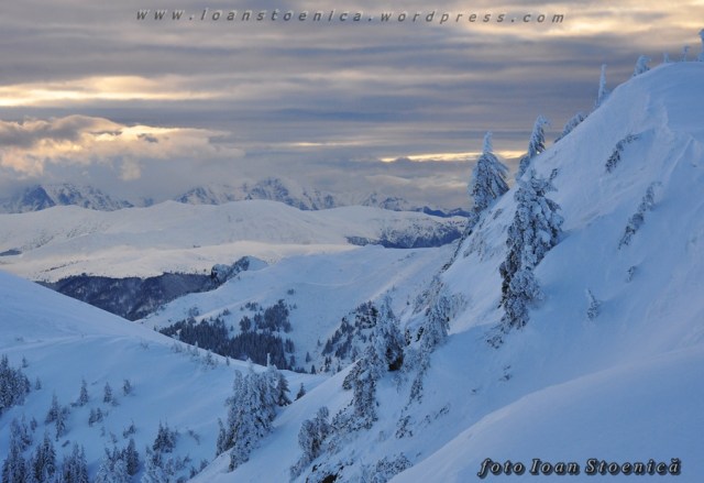 zapada bleu pe munte