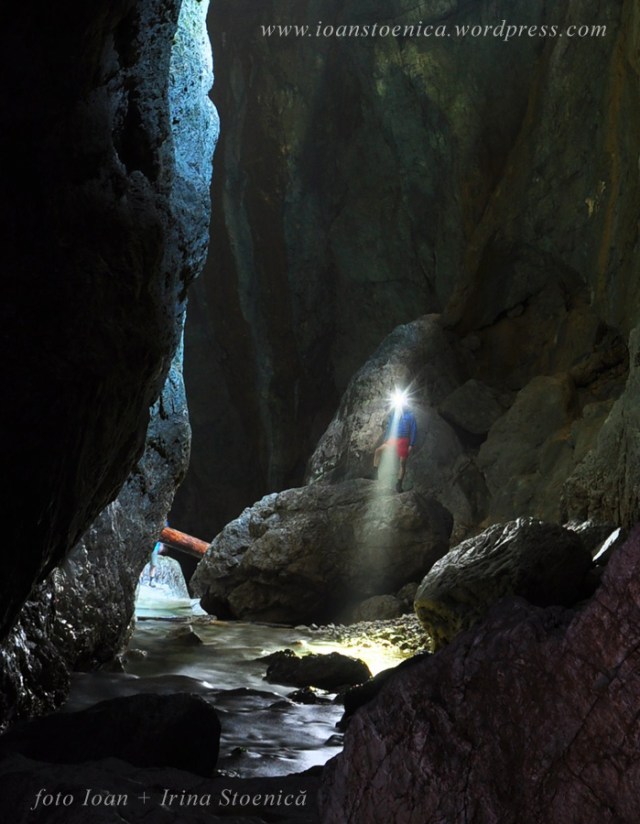 in cetatile ponorului - frontala fenix
