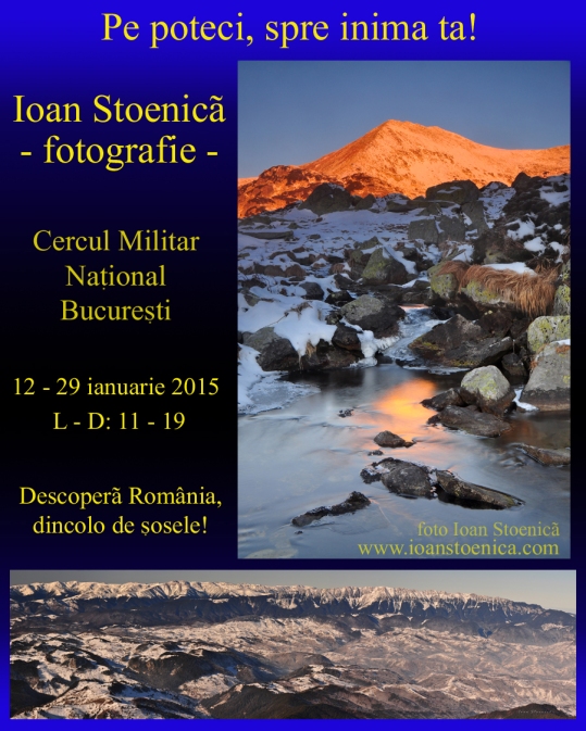 Expo Ioan Stoenica CMN 2015
