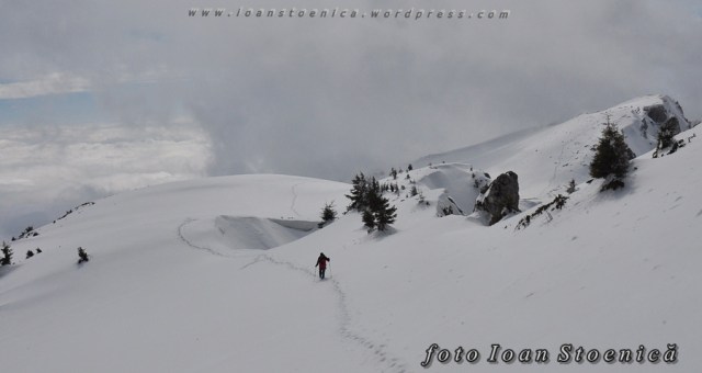 sir de urme prin zapada -  peisaje de iarna de la munte