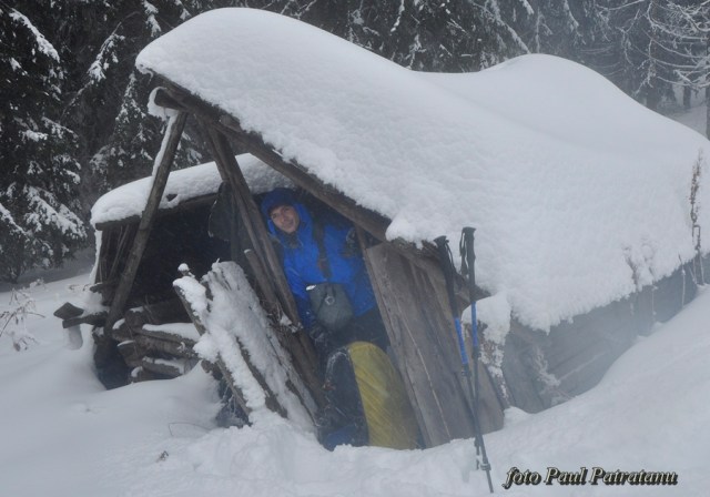 in usa stanei inclinate