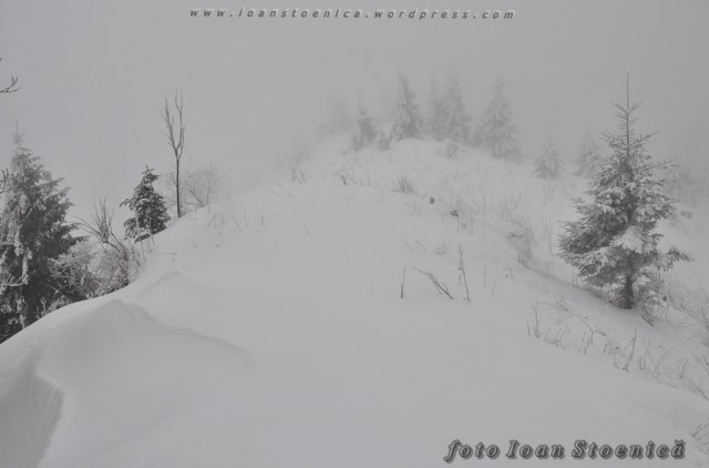 pe varful magura tarcaului