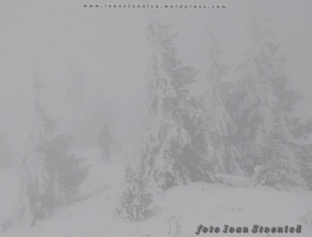 pierdut in ceata alba