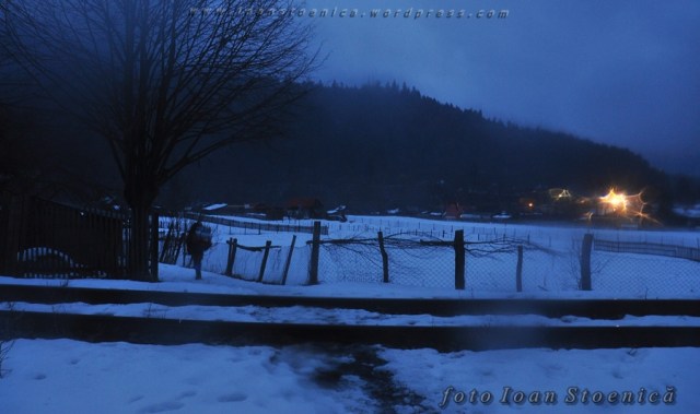 inapoi la localitati - tarcau