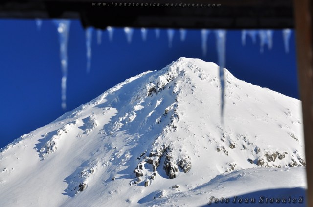 custura bucurei si turturi