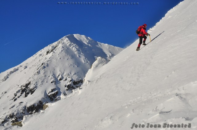varful custura bucurei in spate